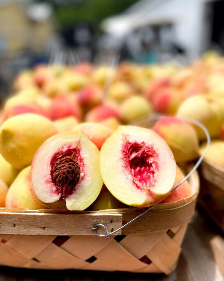 durbinfarmsmarket4 768x960