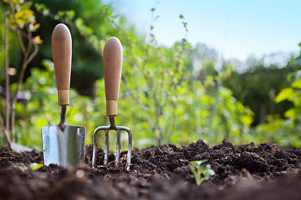 Edible Garden