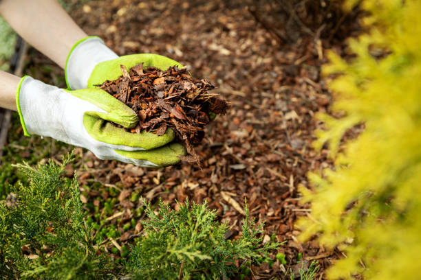 Garden Mulch