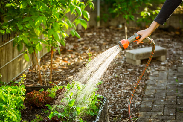 Watering Garden