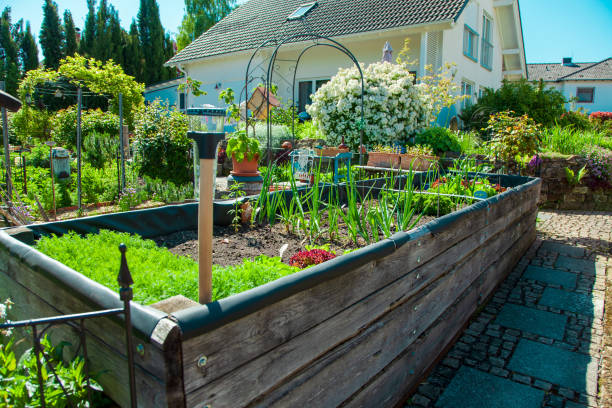 Raised bed gardening