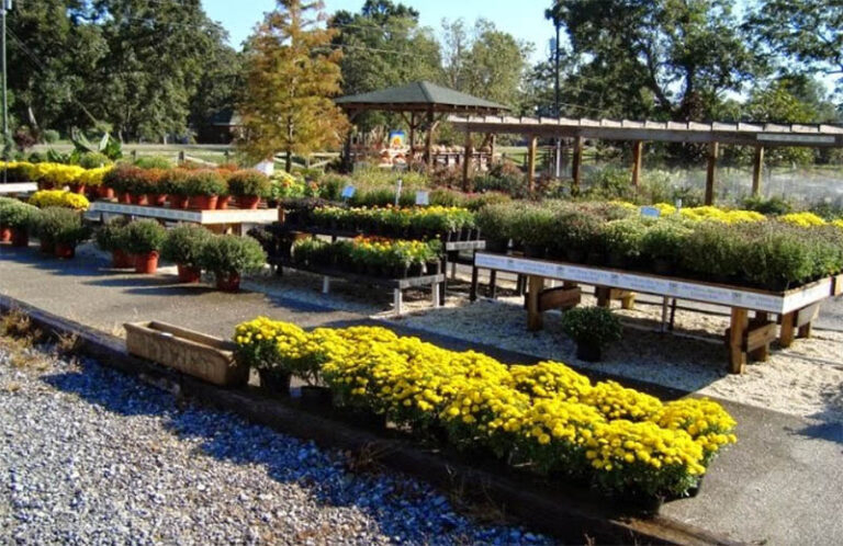 BlairsNurseryandGifts 768x498