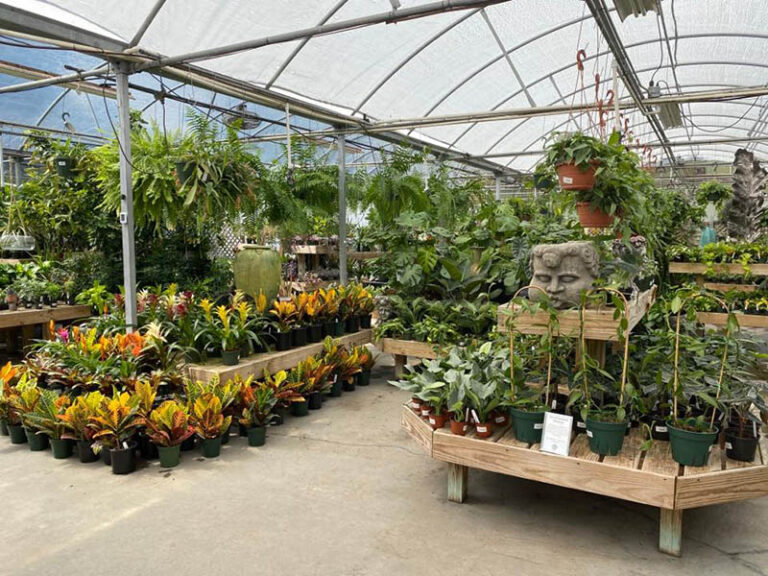 CornerCopiaGardens 768x576