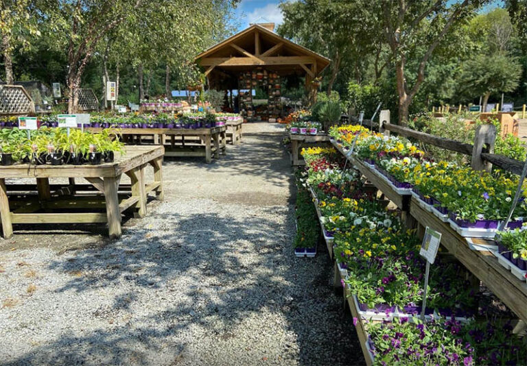 DothanNurseries 1 768x534