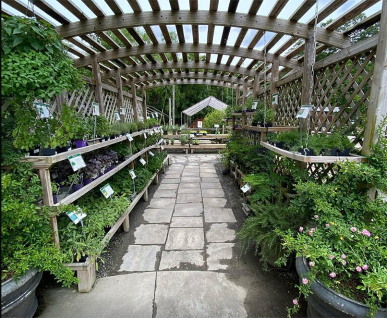 DothanNurseries2 1 768x630