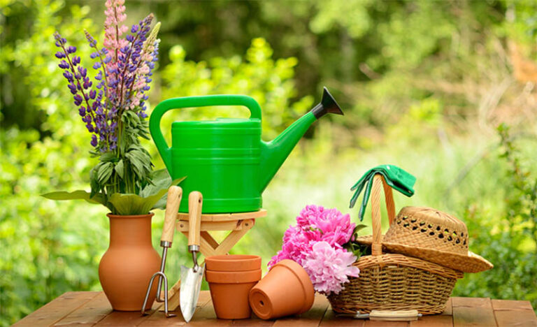 GreenThumbNursery 768x468