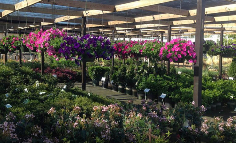HannahsGardenCenter 768x465