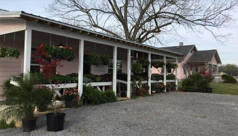 LittlePinkHouseProduce 768x440