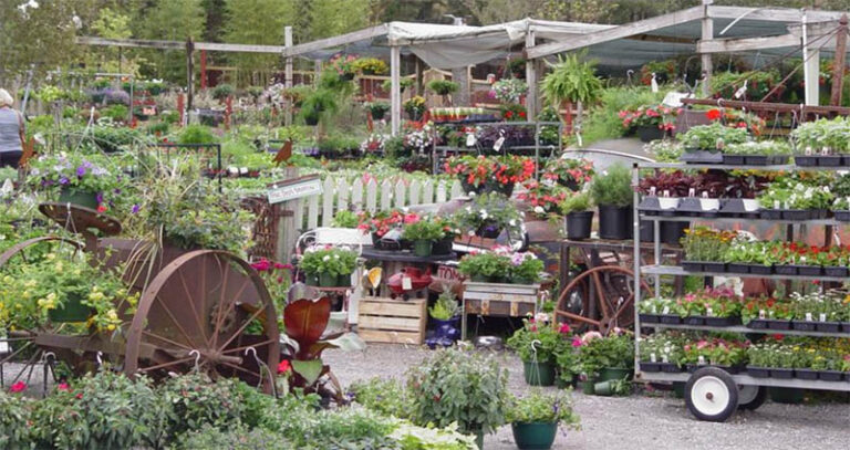 MyersPlantsAndPottery 768x407