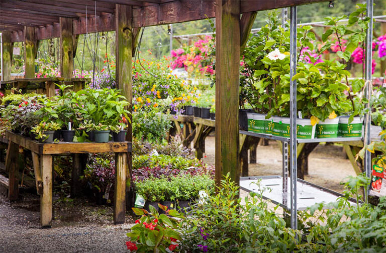 OldTymeFeedandGardenSupply2 768x504