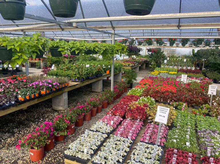 StokelyGardenExpress 768x575