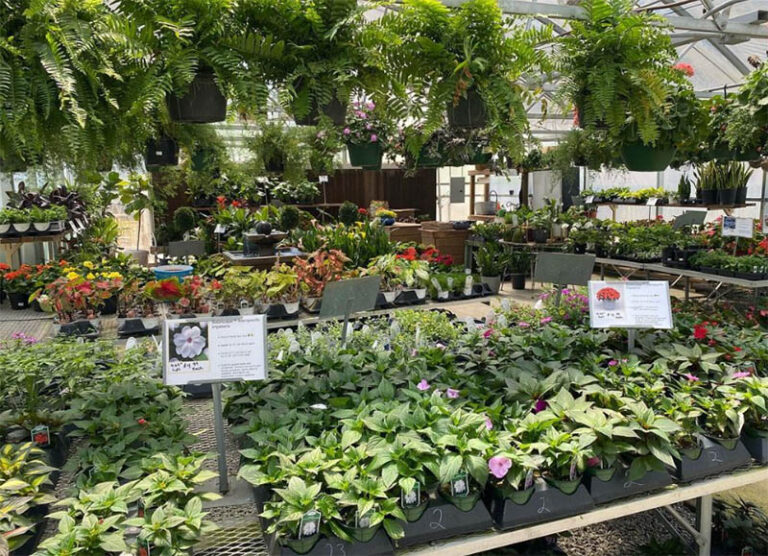 ThePottingShed 768x556