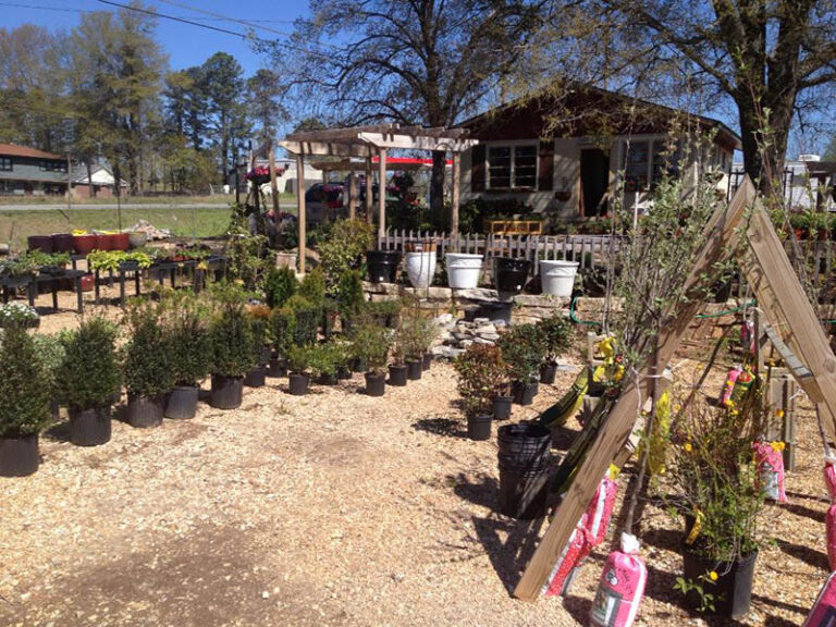 WilsonsWoodyard2 768x576