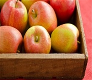 Braeburn Apples