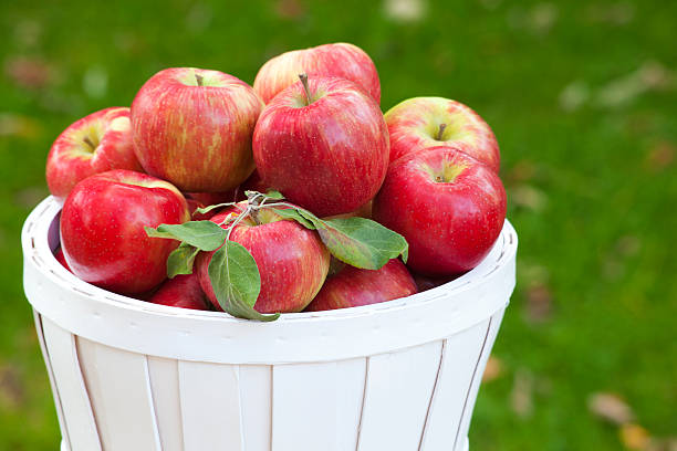 Honey Crisp Apples