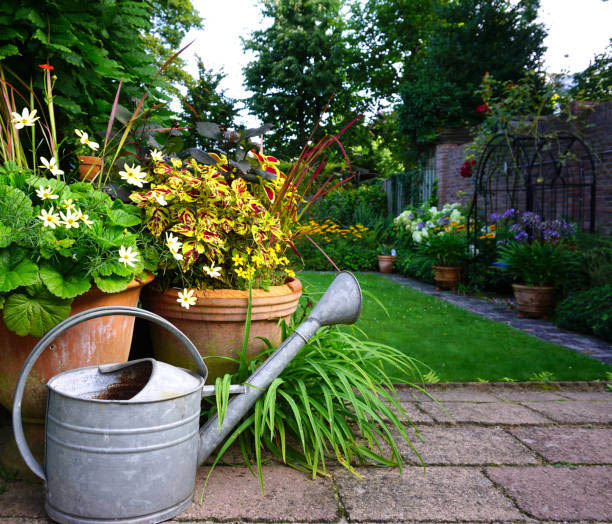 Cottage Garden