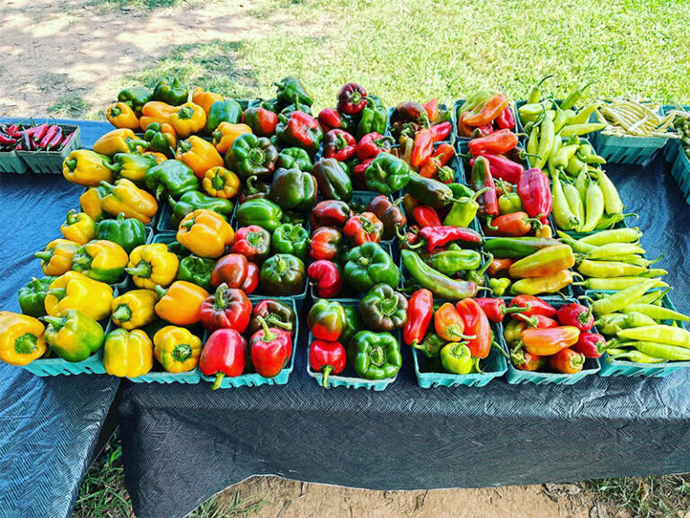 GrownByGraceFarms2 768x576