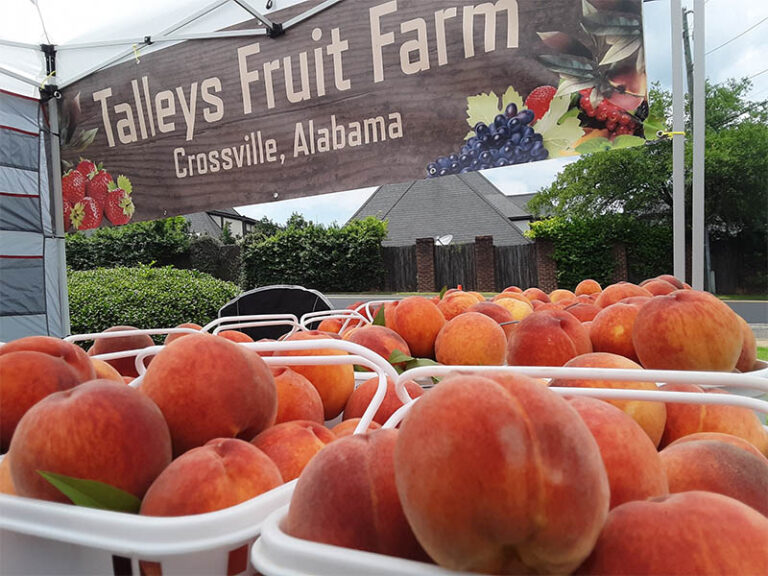 TalleysFruitFarm 768x576