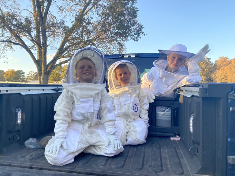 32567A2A 617A 4817 B75A 1B90D9671942 768x576