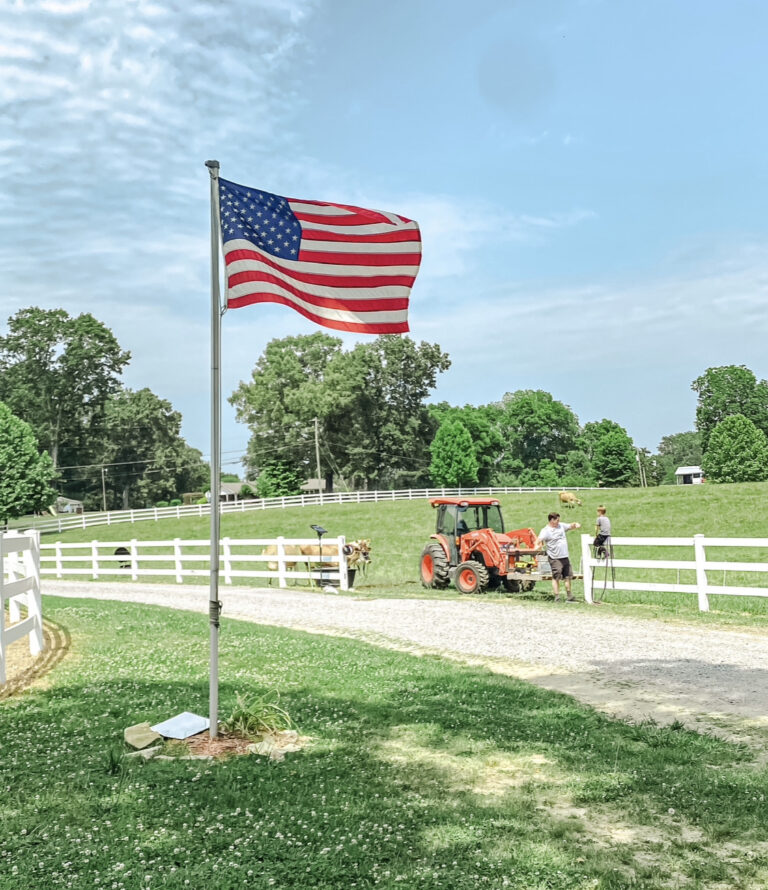 4BC8DFEC A608 4A51 8B9E 2D293B8B7159 768x890