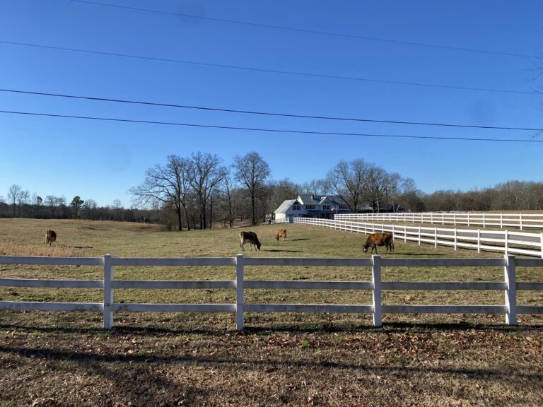 C48EA18D 7222 409D 8D98 400F745BE446 768x576