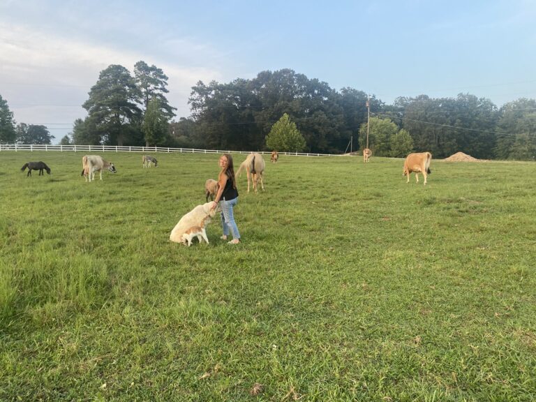 FE93AF28 C811 43A4 BA32 022E15E90294 768x576